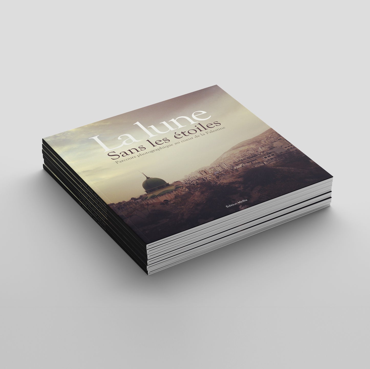 Livre ~ La lune sans les étoiles