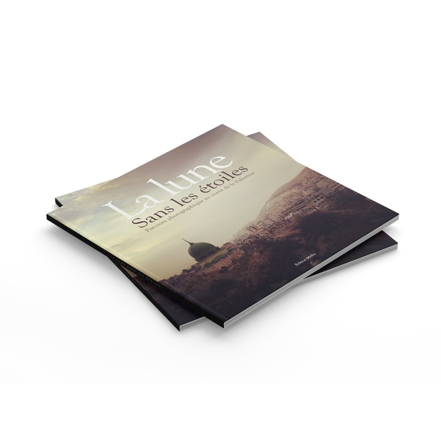 Livre ~ La lune sans les étoiles